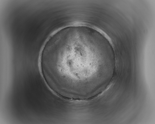 X0000102281429200808081453