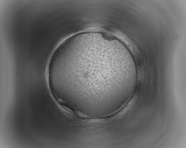 X0000102281430200808081453