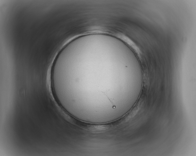 X0000102281431200808081453