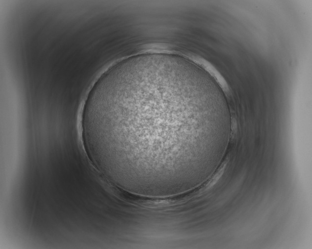 X0000102281435200808081453