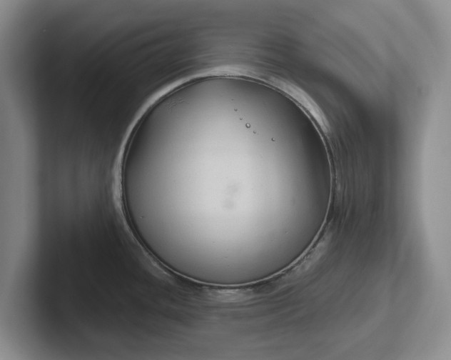 X0000102281436200808081453