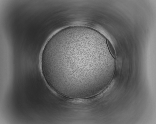 X0000102281437200808081453