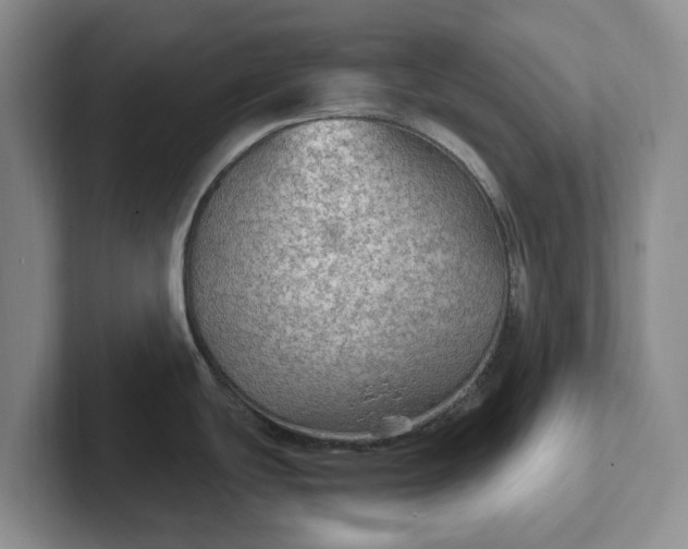 X0000102281439200808081453