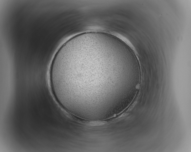 X0000102281440200808081453