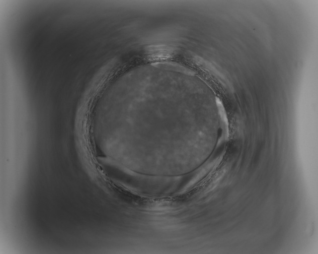 X0000102281441200808081452