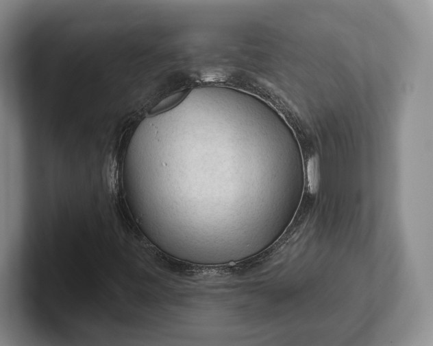 X0000102281443200808081452