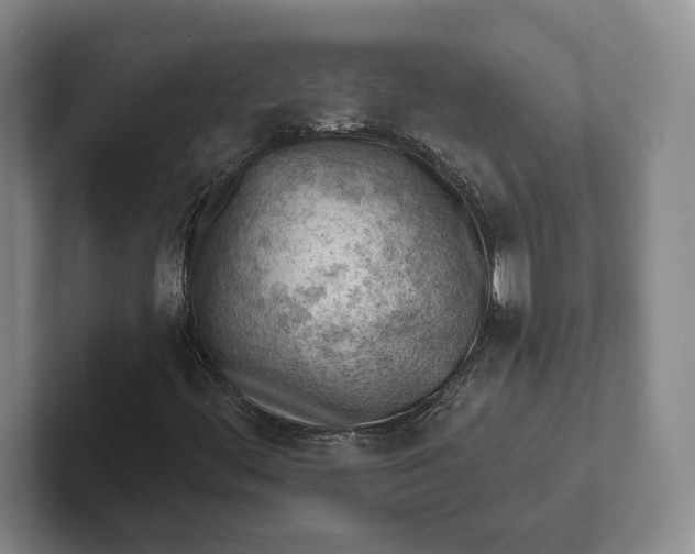 X0000102281444200808081452