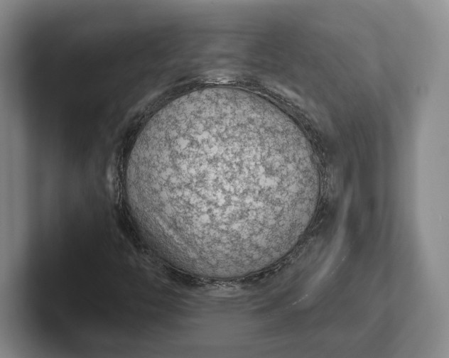 X0000102281446200808081452