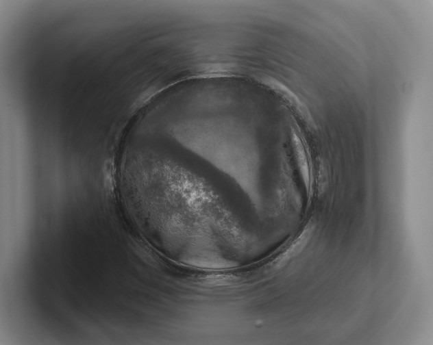 X0000102281449200808081452