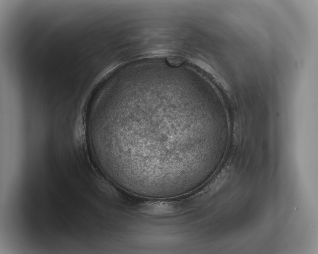 X0000102281450200808081452