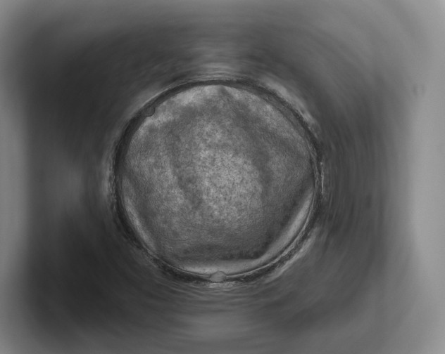 X0000102281453200808081452