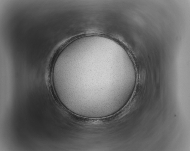 X0000102281454200808081452