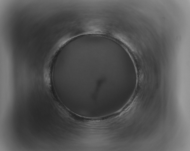 X0000102281455200808081452