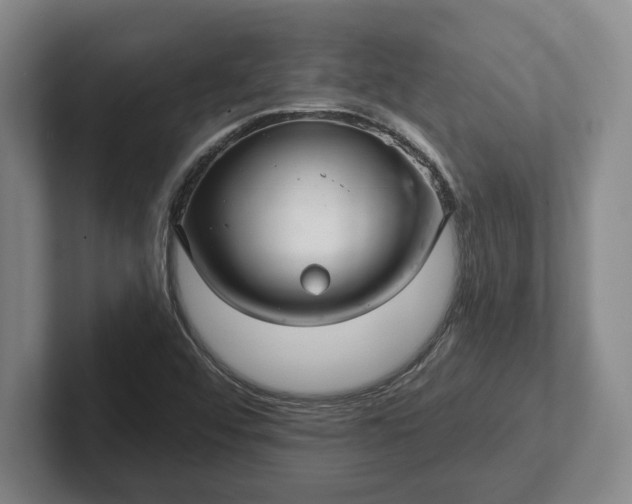 X0000102281456200808081452