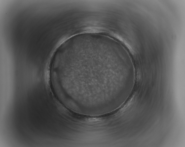 X0000102281459200808081452