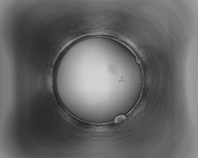 X0000102281460200808081452