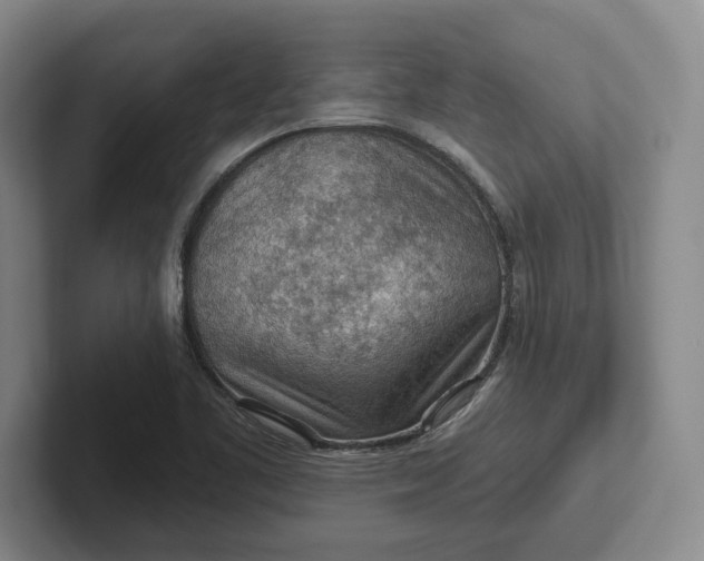 X0000102281461200808081452