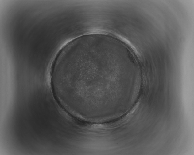 X0000102281463200808081452