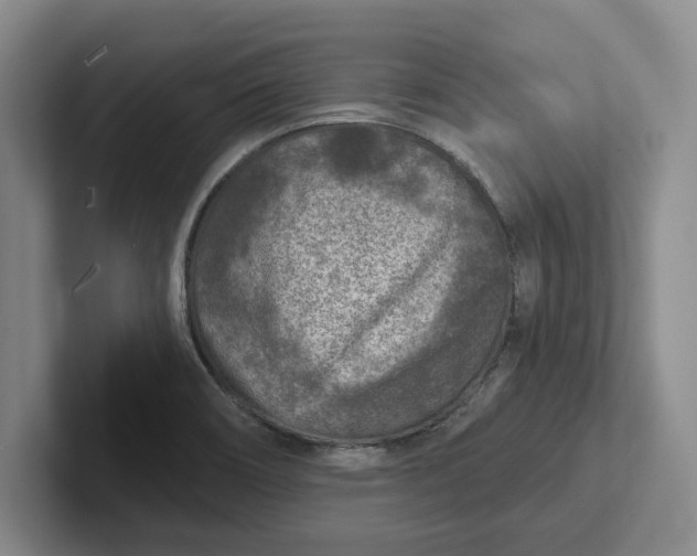 X0000102281466200808081452