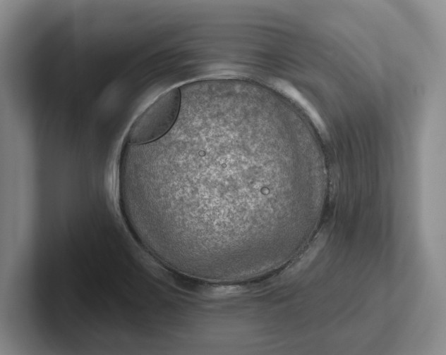 X0000102281467200808081452