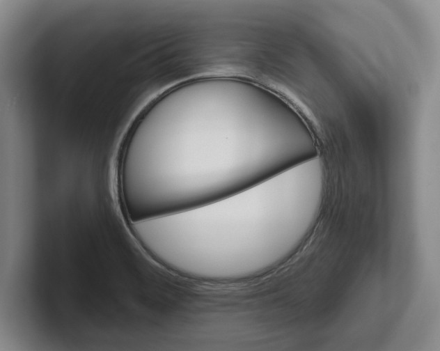 X0000102281468200808081452