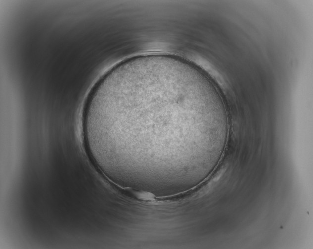 X0000102281469200808081452