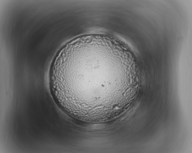 X0000102281471200808081452