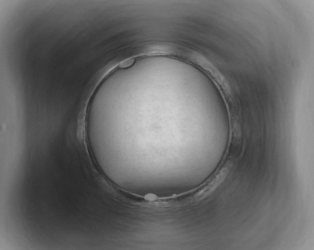 X0000102281473200808081452