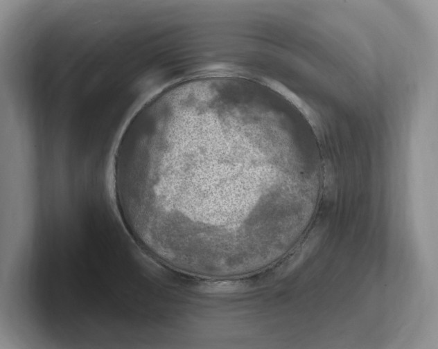 X0000102281474200808081452