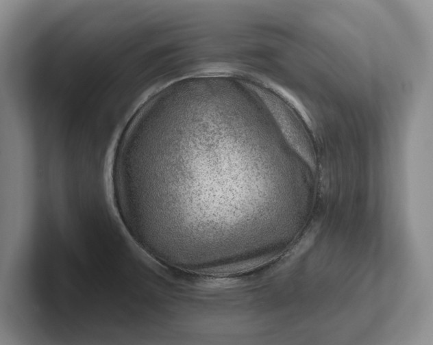 X0000102281475200808081451