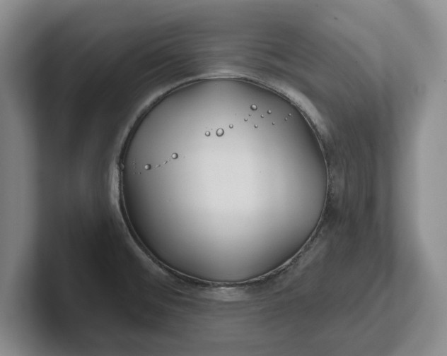 X0000102281476200808081451