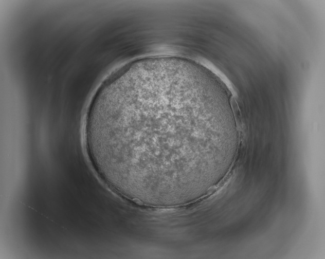 X0000102281477200808081451