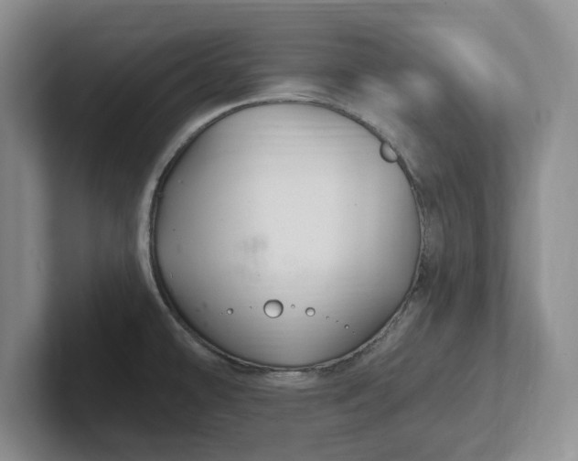 X0000102281478200808081451