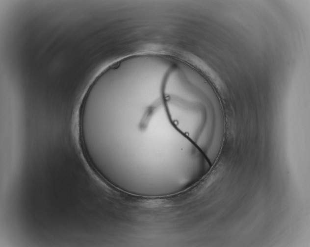 X0000102281479200808081451