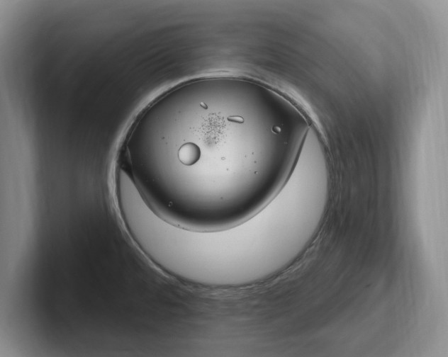 X0000102281480200808081451