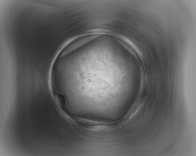 X0000102281482200808081451