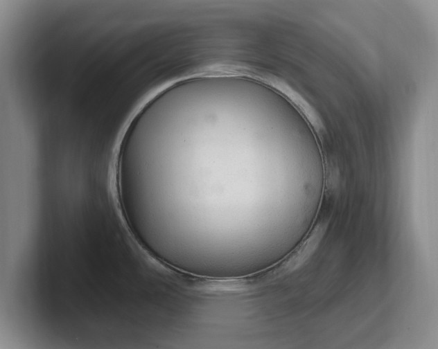 X0000102281486200808081451