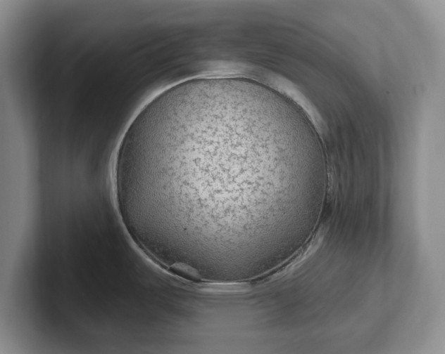 X0000102281487200808081451