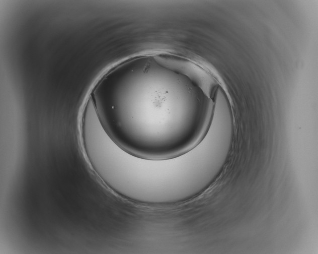 X0000102281488200808081451