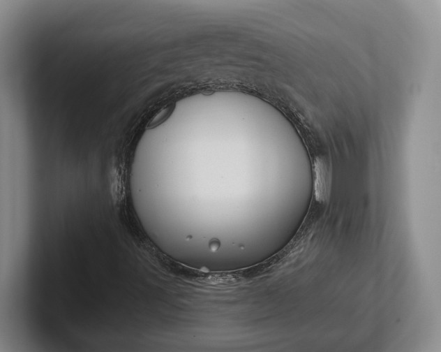 X0000102281491200808081451