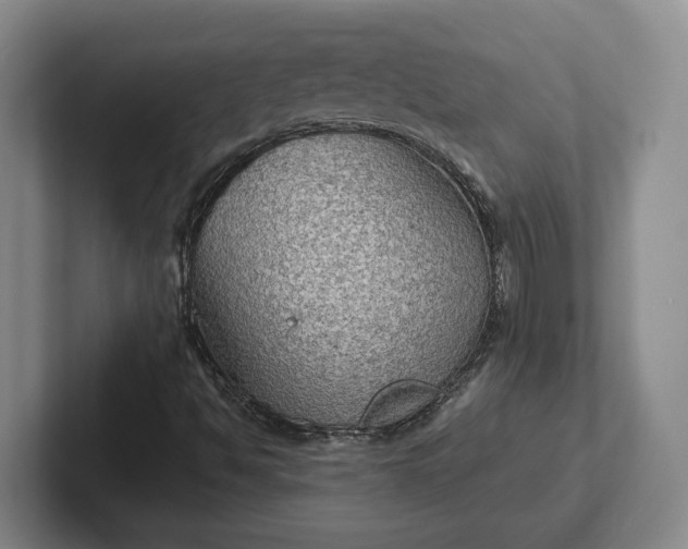 X0000102281494200808081451