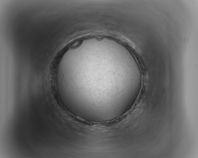 X0000102281496200808081451