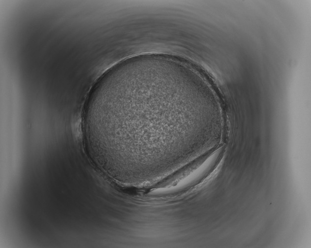 X0000102281497200808081451