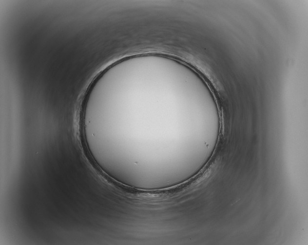 X0000102281500200808081451