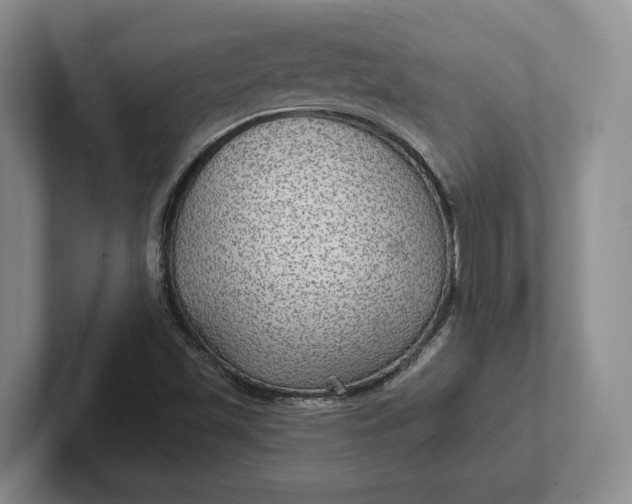 X0000102281501200808081451