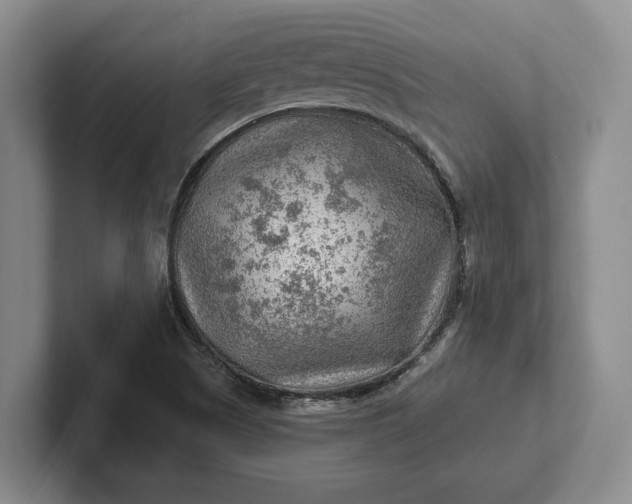 X0000102281505200808081451