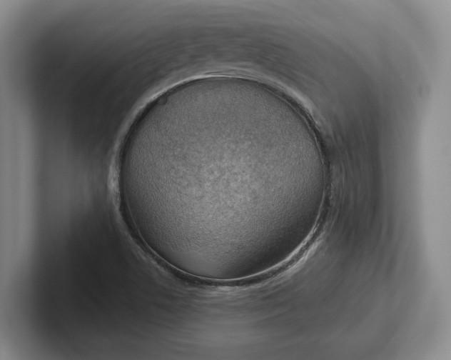 X0000102281506200808081451