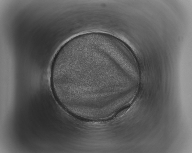 X0000102281508200808081451