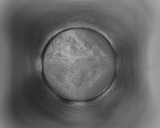 X0000102281509200808081451