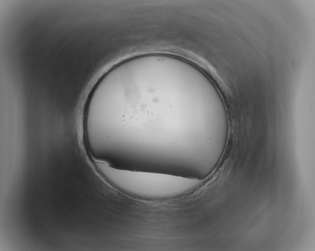 X0000102281512200808081451